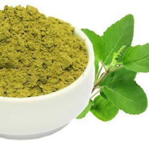 Avika 100% Organic Pure & Natural Basil/Tulsi Powder Herbal Infusion Tea, Light and Gentle Taste
