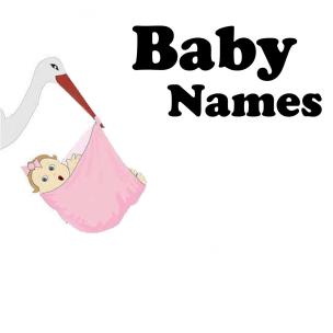 Baby Names/Firm Name/Personal Name Adviser