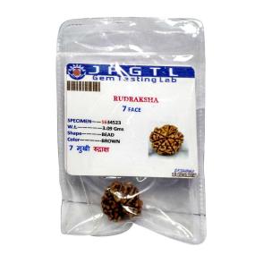 Avika Natural Certified Energized Rudraksha 7 Mukhi