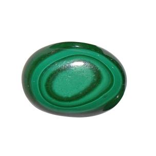 Malachite Loose Gemstone(Pack of 1 Pc.)