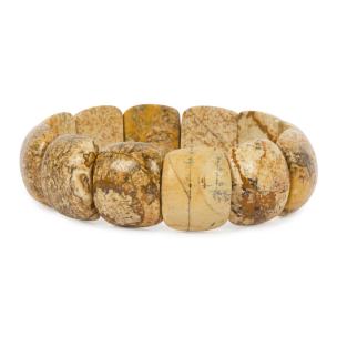 Avika Natural Petrified Wood Jasper Healing Bracelet (Pack of 1Pc)