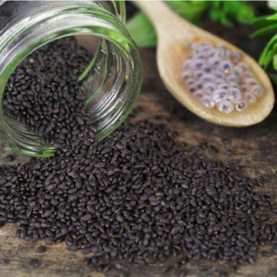 Flavoring and Garnishing