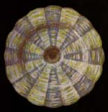 Throat Chakra Crystals