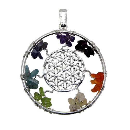 Avika Web Removal Seven Chakra Pendant 45 mm