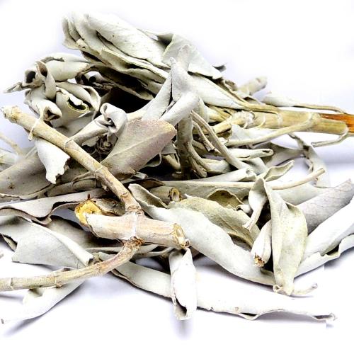 Avika Natural California White Sage Smudge Leaves