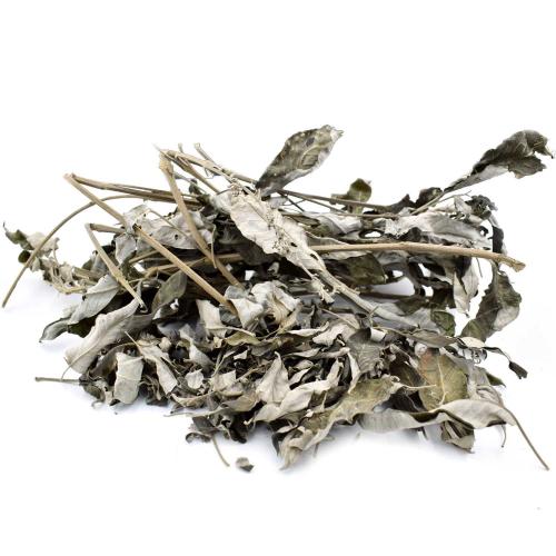 Avika Natural Indian White Sage Smudge Leaves & Clusters