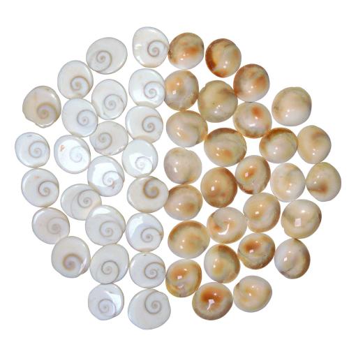 Avika Natural Gomti Chakra Cabochon (Pack of 51 Pcs.)