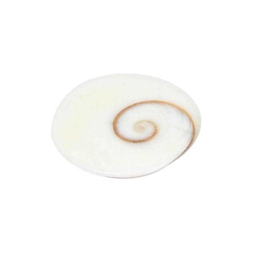 Avika Natural Gomti Chakra Cabochon (Pack of 1 Pc.)