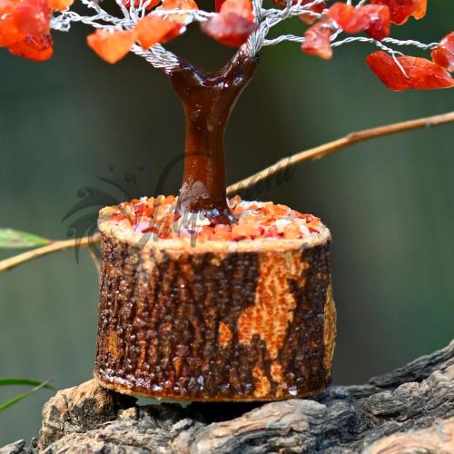 Avika Natural Energized Carnelian Mseal 60 Dana Tree