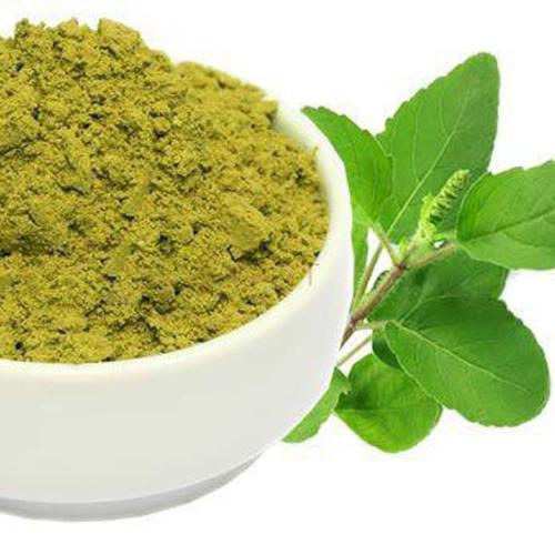 Avika 100% Organic Pure & Natural Basil/Tulsi Tcut with Green Tea Leaves