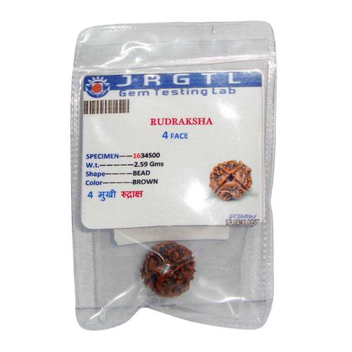 Avika Natural Certified Energized Rudraksha 4 Mukhi