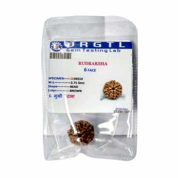 Avika Natural Certified Energized Rudraksha 6 Mukhi