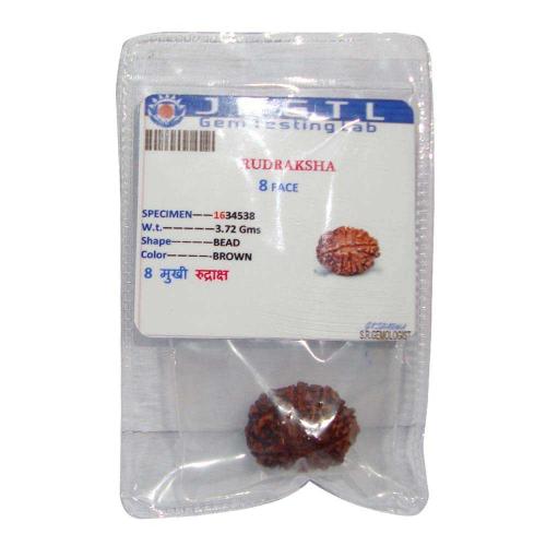 Avika Natural Certified Energized Rudraksha 8 Mukhi