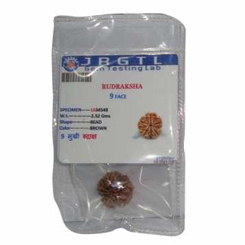 Avika Natural Certified Energized Rudraksha 9 Mukhi