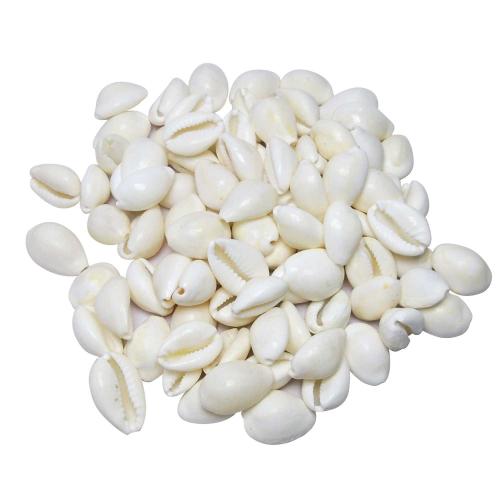 Avika Natural Energized White Kodi (Kori) (21 Pcs.)