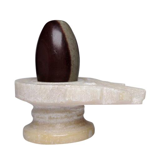 Avika Natural Narmedeshwar 4 Inch Damroo Heavy White Jaldhari with 2 Inch Lingam