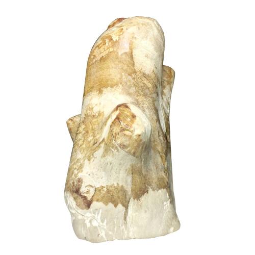 Avika Energized Stone petrified Wood Antique Showpiece For Reiki & Meditation