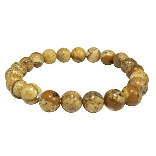 Avika Natural Picture Jasper Beads Bracelet (Pack of 1Pc)