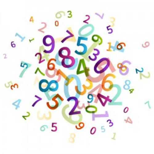 Avika Numerology Software