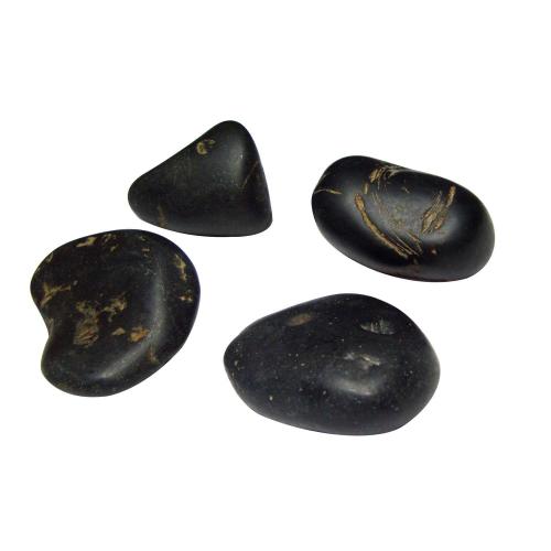 Avika Shaligram Pack of 1 pc