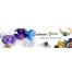 Buy Gemstones Online To Become Healthy And Happy