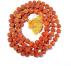 Why Should You Buy Rudraksha Beads Online